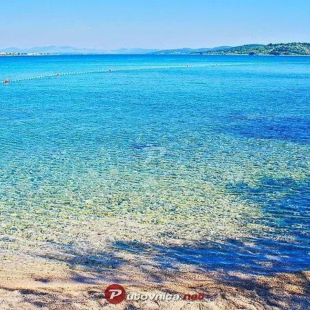 Matic Vodice